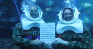 Discovery Cove celebrates the 244th Birthday of the US Navy with Underwater Reenlistment Ceremony