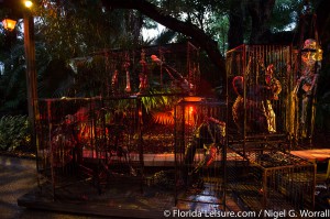 Howl O Scream at Busch Gardens Tampa - 26th September 2014 (Photographer: Nigel G Worrall)