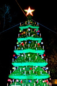 Tree Lighting at Legoland