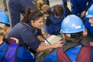 Manatee rescued by SeaWorld