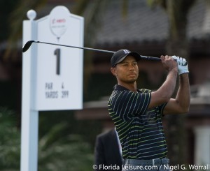 Tiger Woods at Hero World Challenge, Isleworth Golf & Country Club, Windermere, Florida - 4th December 2014 (Photographer: Nigel G Worrall)
