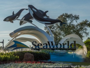 SeaWorld Orlando (Photographer: Nigel G Worrall)