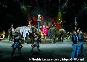 Circus Extreme - Ringling Bros. and Barnum & Bailey , 8 January 2015 (Photographer: Nigel G. Worrall)