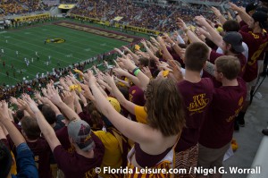 Buffalo Wild Wings Citrus Bowl - Missouri vs Minnesota, 1 January 2015 (Photographer: Nigel G. Worrall)