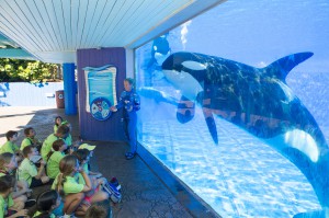 Campers at Underwater Viewing