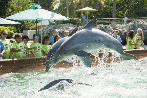Campers_watching_dolphins_jump
