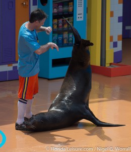 Clyde & Seamore's Sea Lion High, SeaWorld Orlando, Florida - 16th April 2015 (Photographer: Nigel G Worrall)