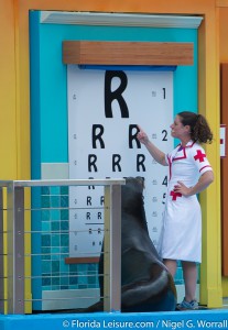 Clyde & Seamore's Sea Lion High, SeaWorld Orlando, Florida - 16th April 2015 (Photographer: Nigel G Worrall)