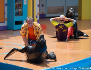 Clyde & Seamore's Sea Lion High, SeaWorld Orlando, Florida - 16th April 2015 (Photographer: Nigel G Worrall)