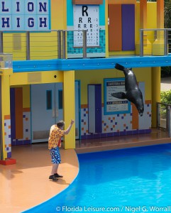 Clyde & Seamore's Sea Lion High, SeaWorld Orlando, Florida - 16th April 2015 (Photographer: Nigel G Worrall)