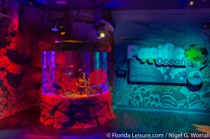 SEALIFE Orlando, I-Drive 360, International Drive, Orlando,  Florida - 27th April 2015 (Photographer: Nigel G Worrall)