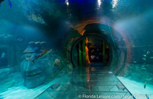SEALIFE Orlando, I-Drive 360, International Drive, Orlando,  Florida - 27th April 2015 (Photographer: Nigel G Worrall)