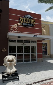 Skeletons - Animals Unveiled, I-Drive 360, International Drive, Orlando,  Florida - 29th April 2015 (Photographer: Nigel G Worrall)