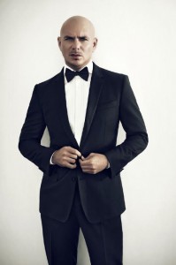 Pitbull