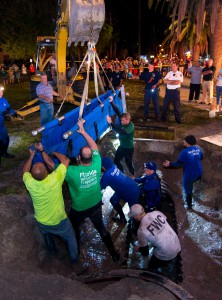 SeaWorld Animal Rescue Team assists with the rescue of 19 Manatees out of drainage pipe