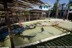 Gator Spot at Fun Spot America - Orlando, International Drive, Orlando, Florida - 11th May 2015 (Photographer: Nigel G Worrall)