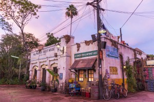 Harmabe Market at Disney's Animal Kingdom