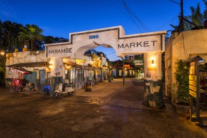 Harmabe Market at Disney's Animal Kingdom