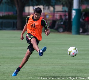 Mexico National Team training session - 23 June 2015 (Photographer: Nigel G Worrall)