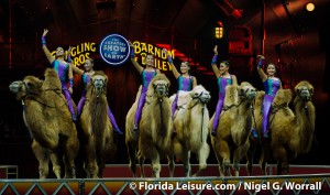 Circus Extreme - Ringling Bros. and Barnum & Bailey , 8 January 2015 (Photographer: Nigel G. Worrall)