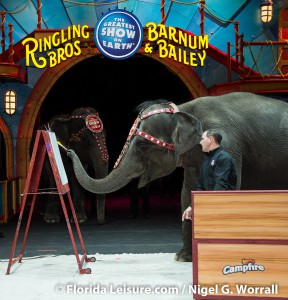 Circus Extreme - Ringling Bros. and Barnum & Bailey , 8 January 2015 (Photographer: Nigel G. Worrall)