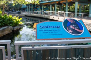 Manatee Rescue & Rehabilitation, SeaWorld Orlando, Florida - 30th March 2016 (Photographer: Nigel G Worrall)