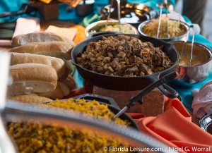 Viva la Música at SeaWorld Orlando, Florida - 22nd April 2016 (Photographer: Nigel G Worrall)