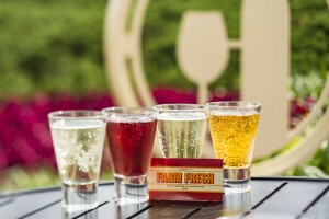 Epcot International Food & Wine Festival: Farm Fresh Marketplace