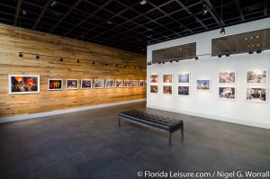 "Unison" at Snap! Gallery, Orlando, Florida - 13th October 2016 (Photographer: Nigel G Worrall)